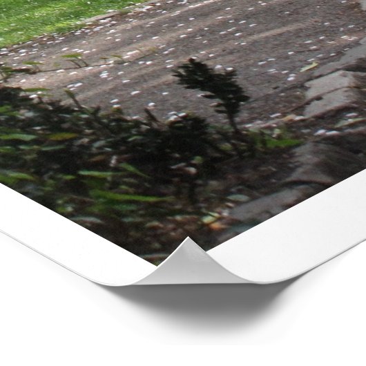 Spring Ierland Poster (Hoek)