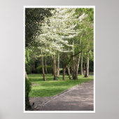 Spring Ierland Poster (Voorkant)