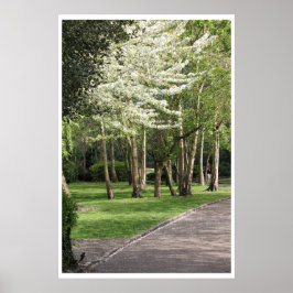 Spring Ierland Poster