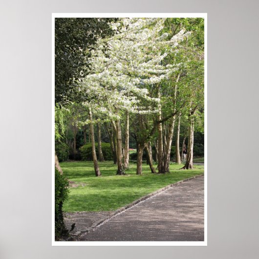 Spring Ierland Poster (Voorkant)