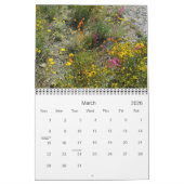 SPRING IN DE DESERT KALENDER (Mar 2026)