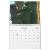 SPRING IN DE DESERT KALENDER (Feb 2026)