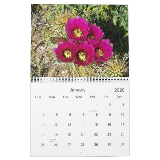 SPRING IN DE DESERT KALENDER (Jan 2026)