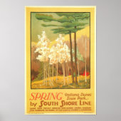 Spring in Indiana Dunes State Park Poster (Voorkant)