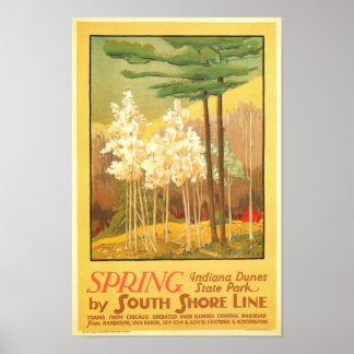 Spring in Indiana Dunes State Park Poster