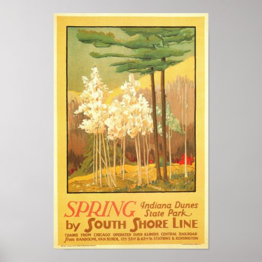 Spring in Indiana Dunes State Park Poster (Voorkant)