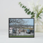 ~ Spring in Lancaster County ~ 56 Briefkaart (Staand voorkant)