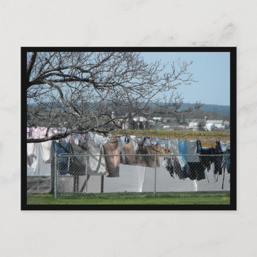 ~ Spring in Lancaster County ~ 56 Briefkaart (Voorkant)