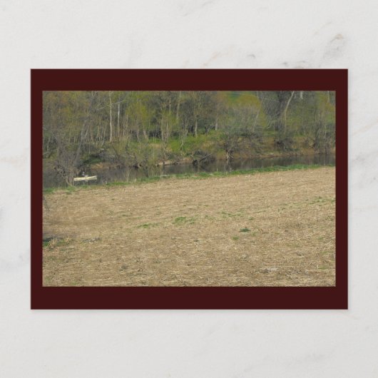 ~ Spring in Lancaster County ~ 5 Briefkaart (Voorkant)