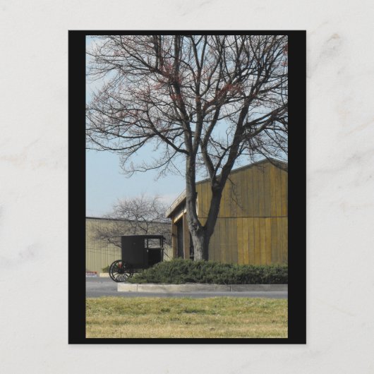 ~ Spring in Lancaster County ~ 96 Briefkaart (Voorkant)