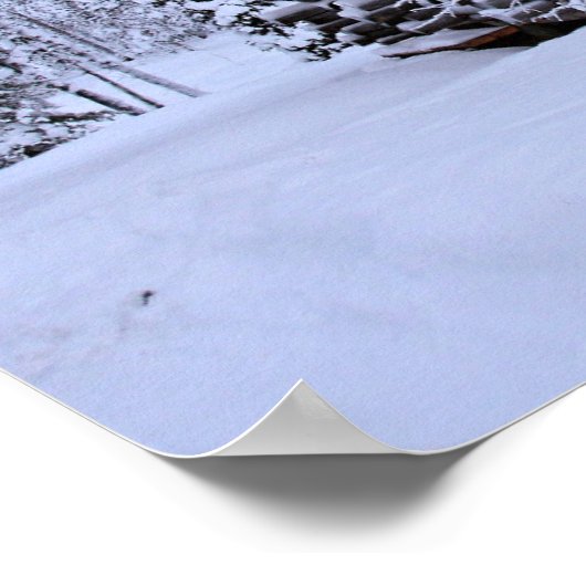 Spring in Lapland,  Poster (Hoek)