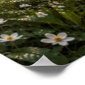 Spring in the Fourfold Forest – Misty Fantasy Wood Poster (Hoek)
