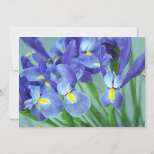 "Spring" Iris Flowers Fotouitnodiging Kaart (Voorkant)