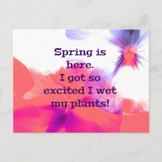 Spring is here.  I got so excited I wet my plants! Briefkaart (Voorkant)