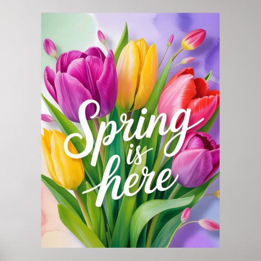 "Spring is Here" Tulip Bouquet Illustration Poster (Voorkant)