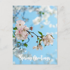 Spring Is in the Air -  Briefkaart