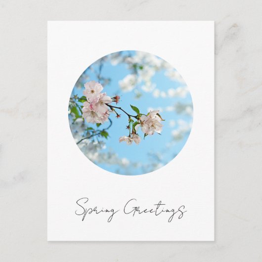 Spring Is in the Air -  Briefkaart (Voorkant)
