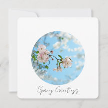 Spring Is in the Air