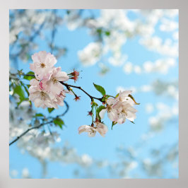 Spring Is in the Air -  Poster