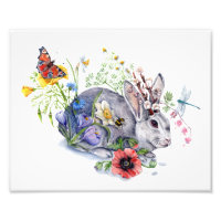 Spring Jackalope
