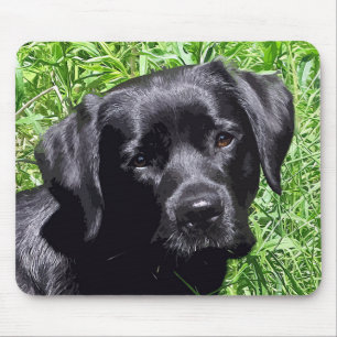 Spring Joy - Labrador Retriever - zwart laboratori Muismat