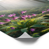 Spring Katakuri in Misty – Atr Print (Hoek)