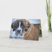 Spring komt uit St. Bernard Cute Bunny Kaart (Voorkant)