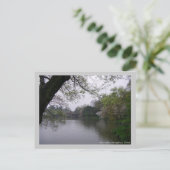 Spring Lakeside/ Travel Photo China Briefkaart (Staand voorkant)