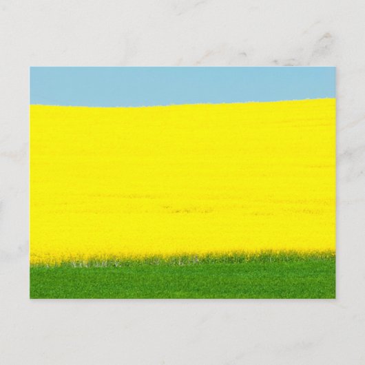 Spring Landscape Meadow Briefkaart (Voorkant)