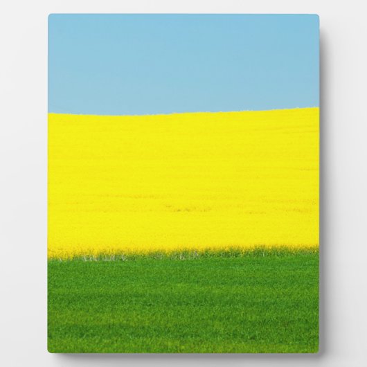 Spring Landscape Meadow Fotoplaat (Voorkant)