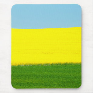 Spring Landscape Meadow Muismat