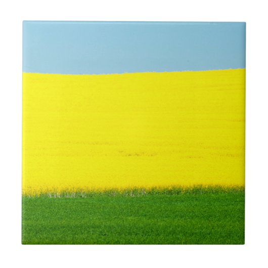 Spring Landscape Meadow Tegeltje (Voorkant)