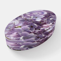 Spring Macro Foto van Paarse Lila bloemen AH2011