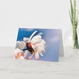 Spring magnolia blossom kaart