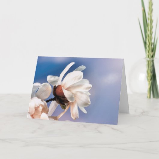 Spring magnolia blossom kaart (Voorkant)