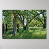 "Spring Meadow" Poster (Voorkant)