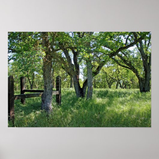 "Spring Meadow" Poster (Voorkant)