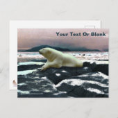 Spring Melt Polar Beer Briefkaart (Voorkant / Achterkant)