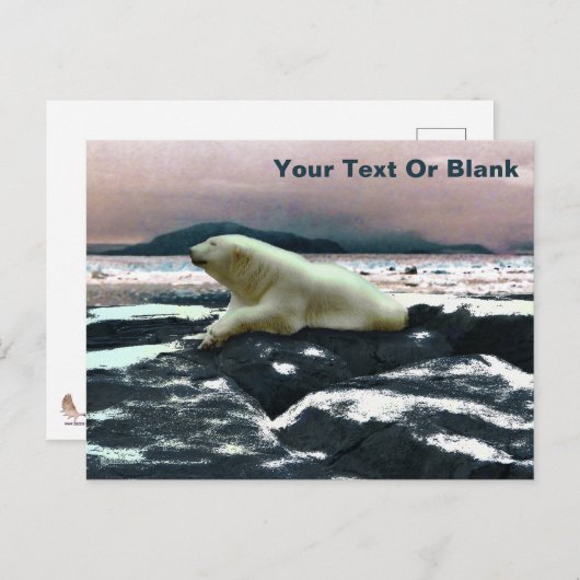 Spring Melt Polar Beer Briefkaart (Voorkant / Achterkant)