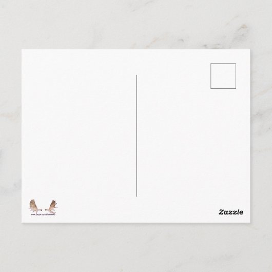 Spring Melt Polar Beer Briefkaart (Achterkant)