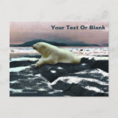 Spring Melt Polar Beer Briefkaart (Voorkant)