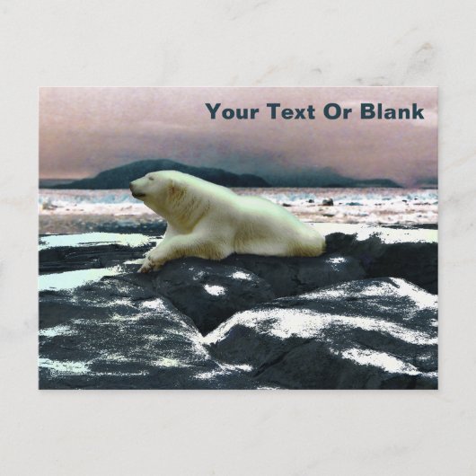 Spring Melt Polar Beer Briefkaart (Voorkant)