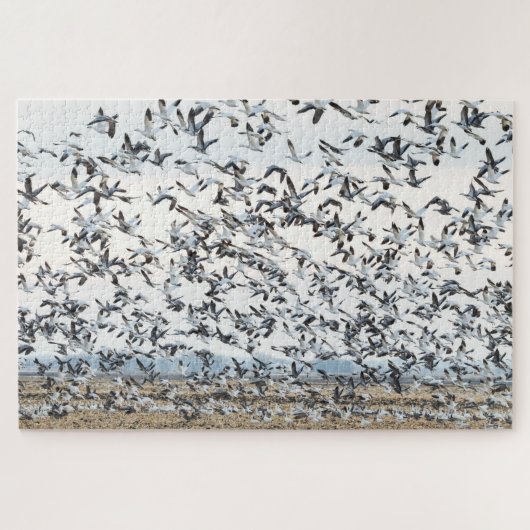 Spring Migration Puzzle Legpuzzel (Horizontaal)