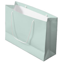 Spring Mint Solid Color Groot Cadeauzakje