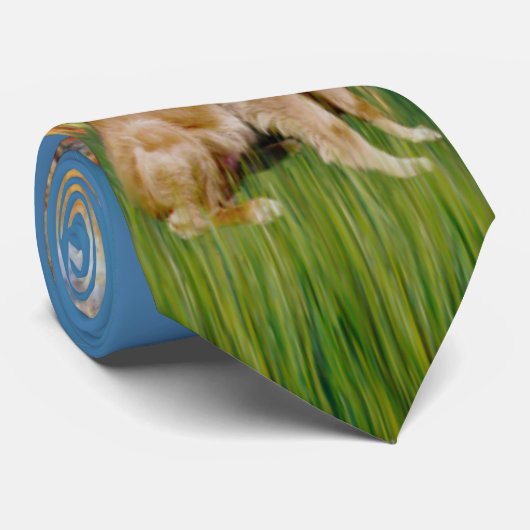 Spring (Monet) - Golden Retriever Stropdas (Opgerold)