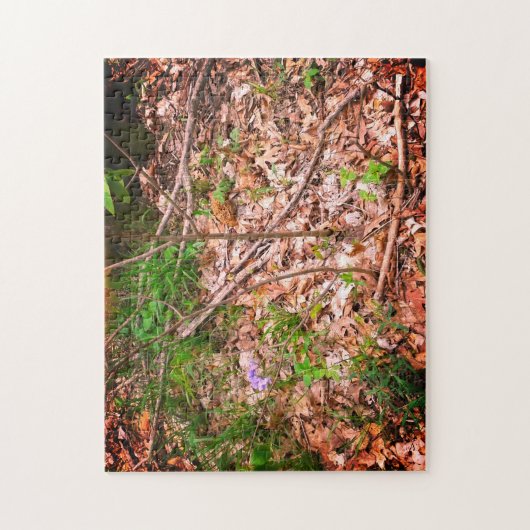 Spring Morel Hunting Legpuzzel (Verticaal)