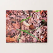 Spring Morel Legpuzzel (Horizontaal)