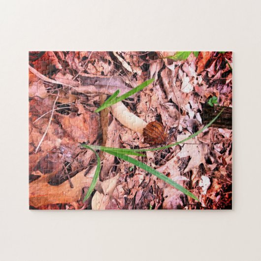 Spring Morel Legpuzzel (Horizontaal)