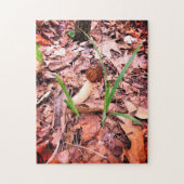 Spring Morel Legpuzzel (Verticaal)