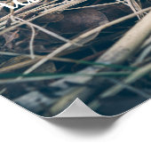 Spring Morel Mushroom Poster (Hoek)